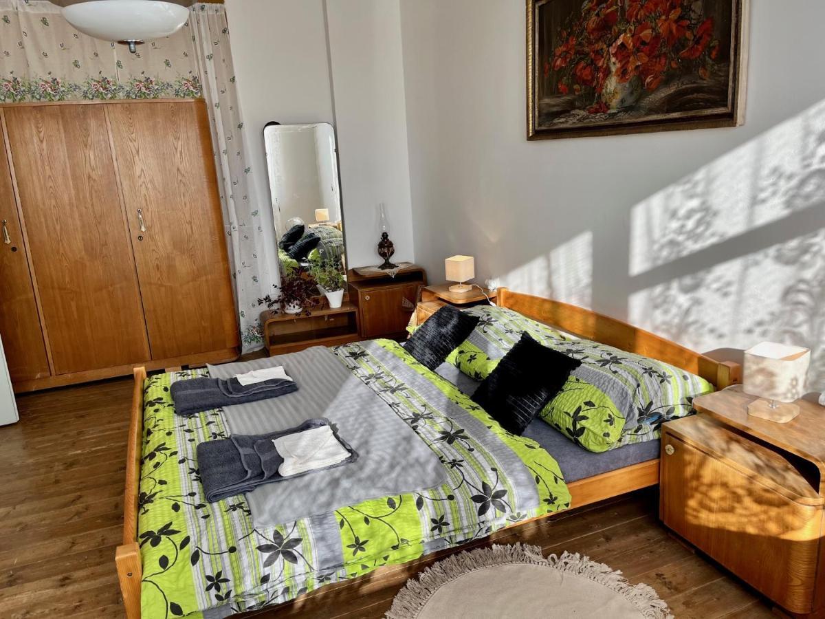 Slunny Byt S Krasnym Vyhledem Διαμέρισμα Nové Město nad Metují Εξωτερικό φωτογραφία