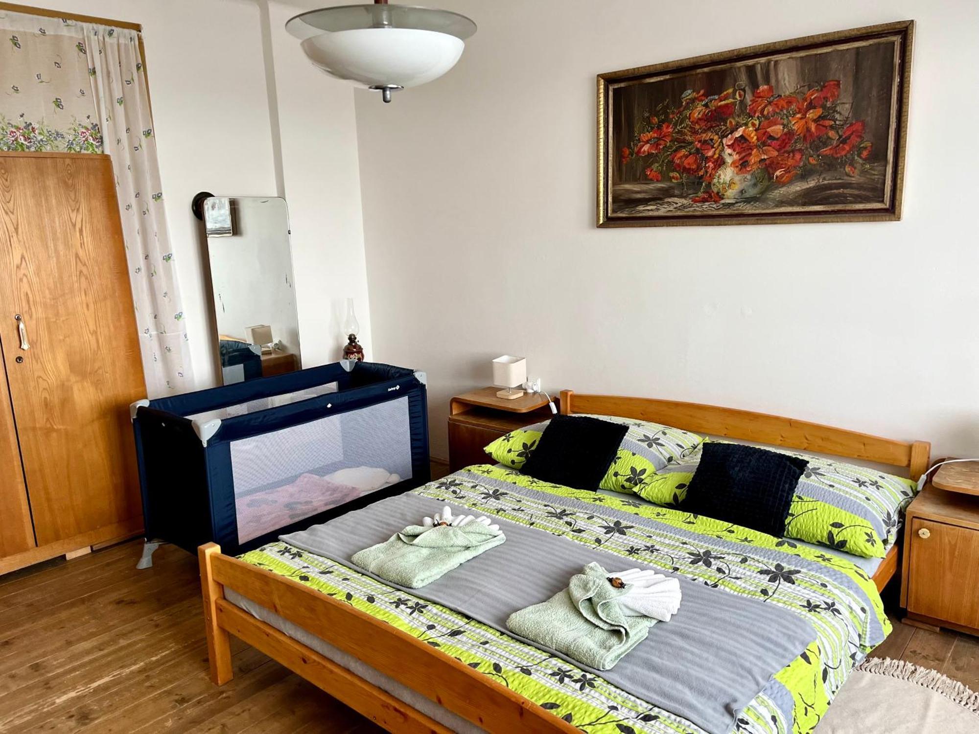 Slunny Byt S Krasnym Vyhledem Διαμέρισμα Nové Město nad Metují Εξωτερικό φωτογραφία